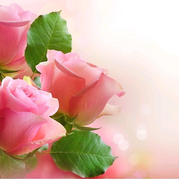 Meet your Posher~Lyn 💕💚 - Picture 1 of 2